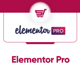 WordPress Elementor Pro